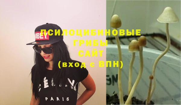 apvp Лихославль