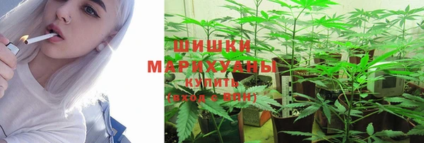 гидра Лиски