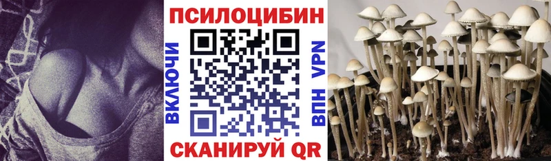 Псилоцибиновые грибы мухоморы  omg tor  Нестеровская 
